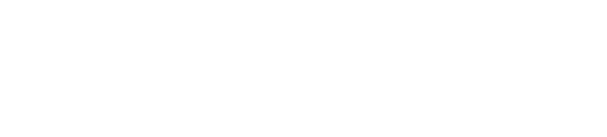 Studio BOLD